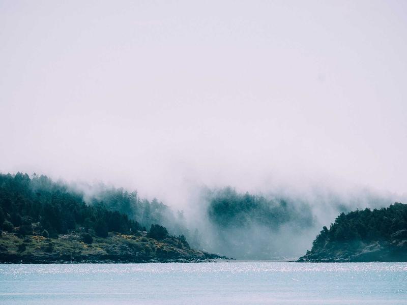 sudoku seasonal puzzle screenshot 5