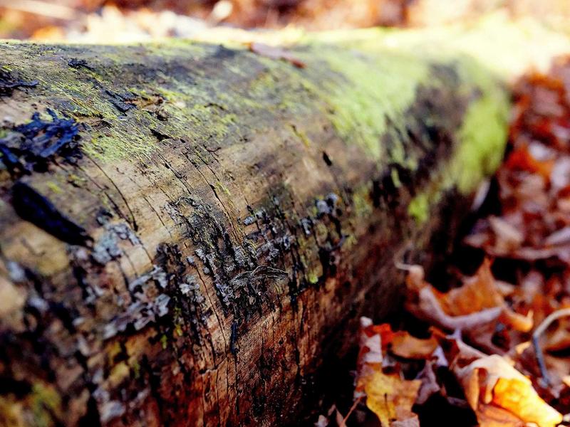 sudoku error checking screenshot 2